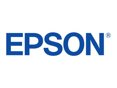 Epson Tinte C13T40C34N, T40