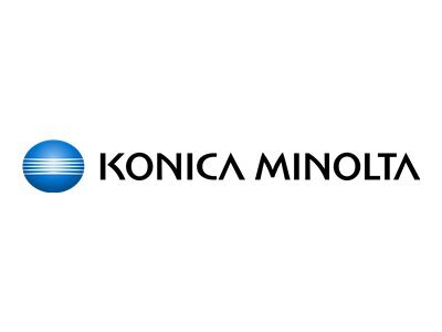 Konica Minolta Entwickler A202500, DV411